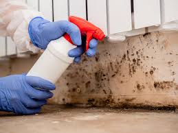 Environmental Consulting for Mold Prevention in Amherst, VA